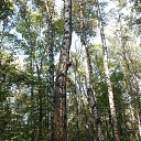 ���� �����, ������, 54 ���� - ��������� 19 �������� 2015 � ������ ��������