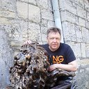 ���� ���������, ��������, 62 ���� - ��������� 26 ������ 2015 � ������ ���� ����������