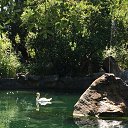  , , 38  -  10  2015    2015