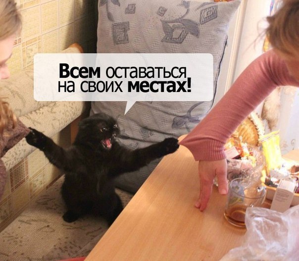       - 1  2015  10:04