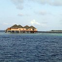 ���� �������, �����, 62 ���� - ��������� 10 ������� 2015 � ������ ��������� 2015�