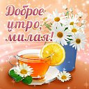 ���� Ledi, ������������ - ��������� 11 ������� 2015 � ������ �������� ��������