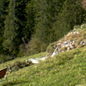  , , 46  -  26  2015