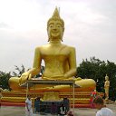  Kookarra, , 26  -  6  2015    