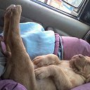 ...����� �������� ���.. �� ������� ������ ��������