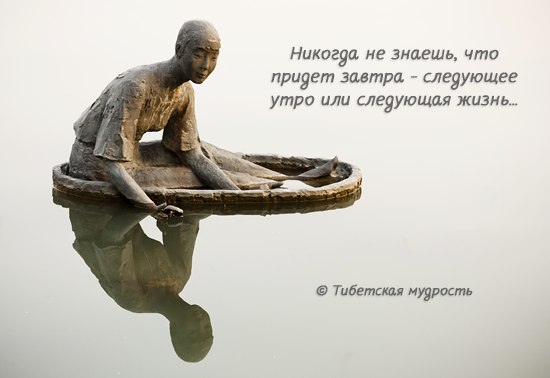   - 8  2015  17:01