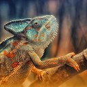 ���� ~Andrey~, �����-���������, 55 ��� - ��������� 17 �������� 2015 � ������ ������ ��������