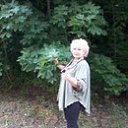  , -, 65  -  20  2015    