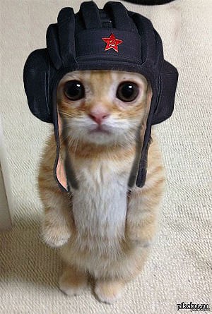   !!!! ,  ,     !!!!!!!! !!!   ...
