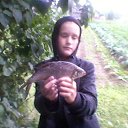 ���� ��������, �����-��������� - ��������� 28 ���� 2015 � ������ ������ �� �����