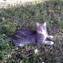  ♥♥, - -  20  2015    