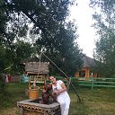  , - -  22  2015    