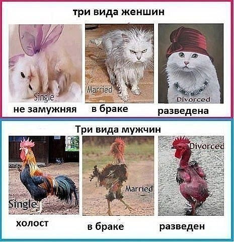       - 7  2015  06:31