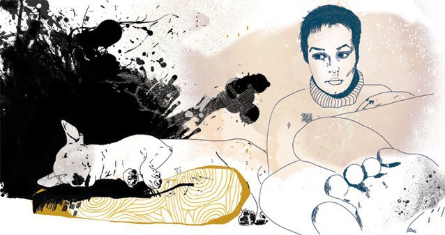 Английский бультерьер. - 13 июля 2015 в 21:25