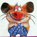 ���� �������, ���������, 46 ��� - ��������� 2 ���� 2015 � ������ ���� ����������