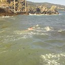 ���� ����������, ������, 49 ��� - ��������� 4 ������� 2015