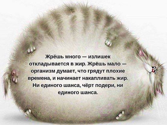   - 18  2015  06:08