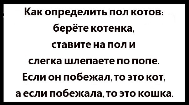.  .