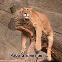 ���� ������, ���������� - ��������� 5 �������� 2015 � ������ ������ ��������