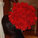 ���� �����, ������, 27 ��� - ��������� 29 ���� 2015 � ������ ���� ����������