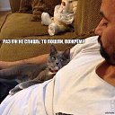 ���� ������, �����-��������� - ��������� 16 ��� 2015 � ������ ������ ��������