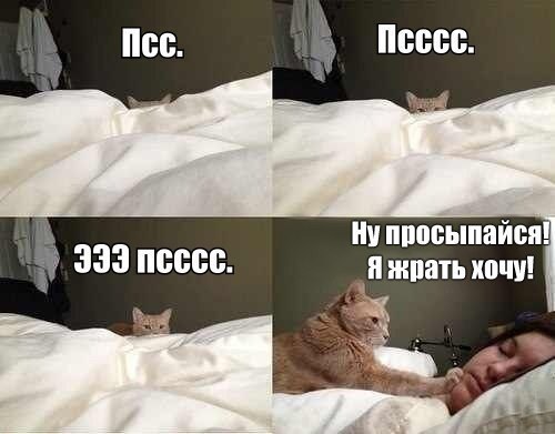     - 26  2015  04:04