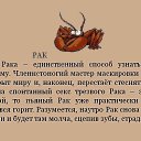 ���� ������, ����, 48 ��� - ��������� 29 ���� 2015 � ������ ������ ��������