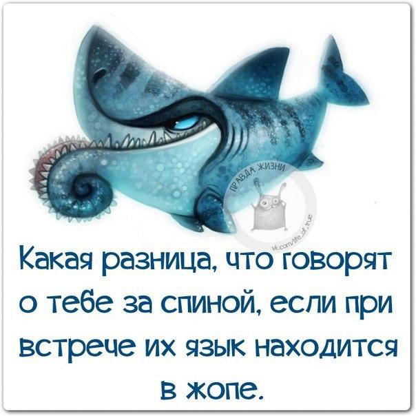   - 1  2015  06:10