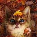 ���� Lu, ����� - ��������� 31 ������� 2015 � ������ ������ ��������