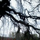 ������������ �������� � �����-���������� �� ������� ���� ����������