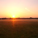 ���� ������, ����, 55 ��� - ��������� 3 ���� 2015 � ������ �������