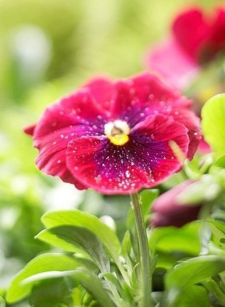 ||  ... || - 12  2015  15:29 - 3