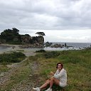  , , 65  -  22  2015    .  .  -