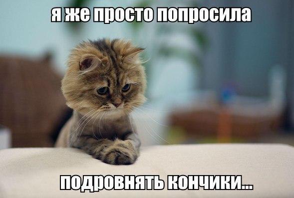   |  |  - 5  2015  16:20