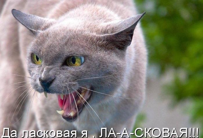  ! ,      ,       , ... - 2