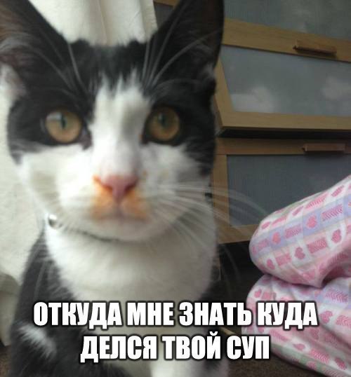  -  - 26  2015  16:28