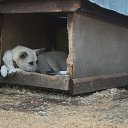 ���� ��� ������������� ������� ����. �������,�������,� ��� �� ����������,����� �������� � ����������. ������ � ������� ���....

�������:
�������(�����) ��������
�������:
8-917-571-03-08
�.������������ �� ������� ���������