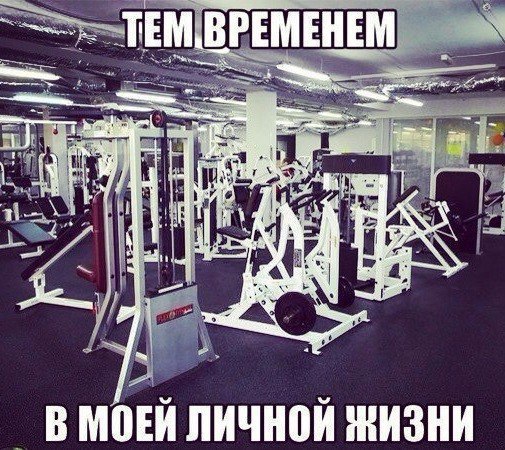 #humor@sportfeed