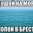 ���� ���������, �����, 46 ��� - ��������� 18 ���� 2015