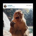 ���� ��������, ��������-������������, 77 ��� - ��������� 30 ���� 2015