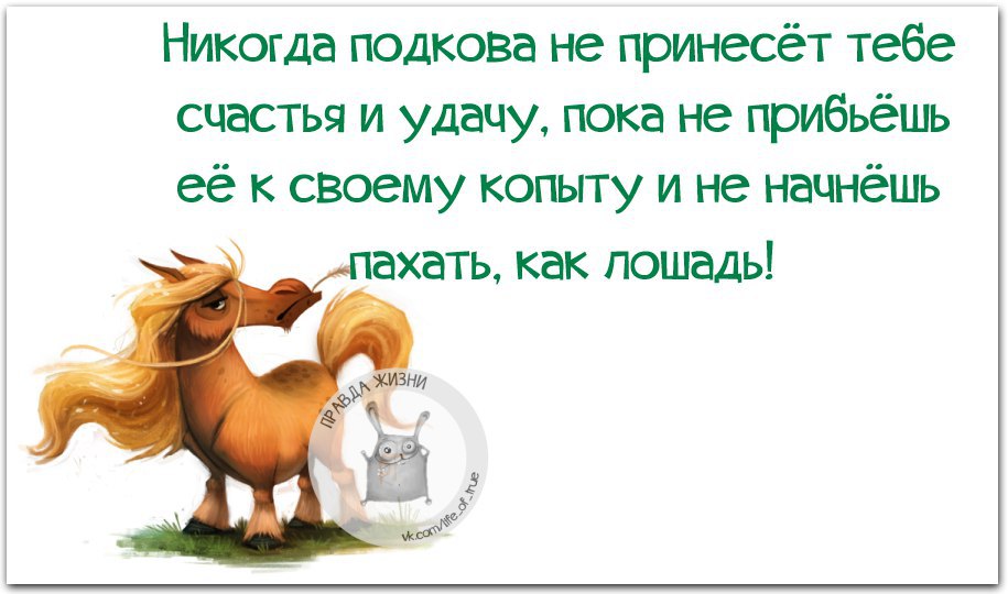 Тебе нужен принц на белом. Принц юмор. Цитаты про удачу и везение. Шутки про принца на белом коне. Правда жизни.