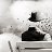  Kitty It Roof, - -  14  2015