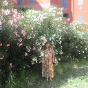 ���� �������, ������, 68 ��� - ��������� 15 ���� 2015 � ������ ���� ����������