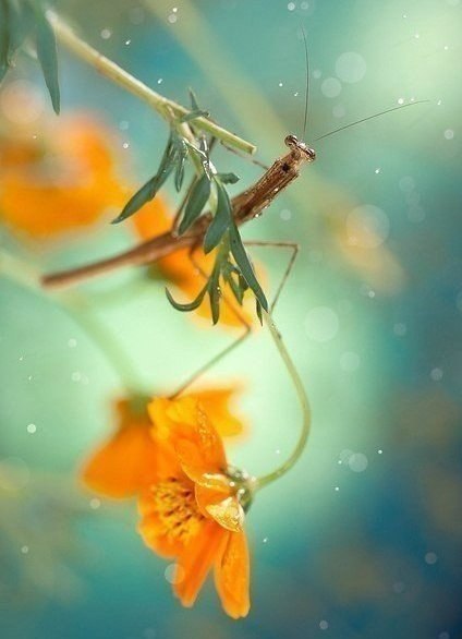     !    ,      ,   ... - 2