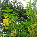  , , 60  -  7  2015       04.05.15.