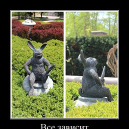 ��������, ������-��-����, 36 ���