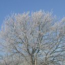 ���� �������, ������, 50 ��� - ��������� 27 ���� 2015 � ������ ������ ��������