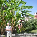 ���� Edgard Nik., ������, 75 ��� - ��������� 25 ������� 2015 � ������ ������� 2014�. ����� ���� ����� ����