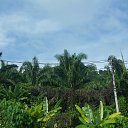    -  ,  -  4  2015    2014.  .  4-.