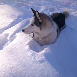 ������, ������, 35 ���